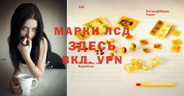 ALPHA PVP Беломорск